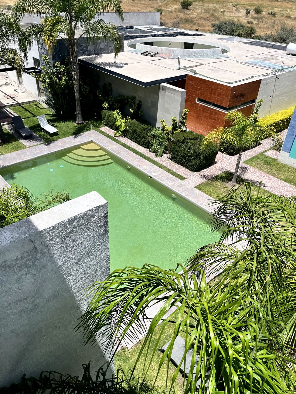 Alberca entre jardines