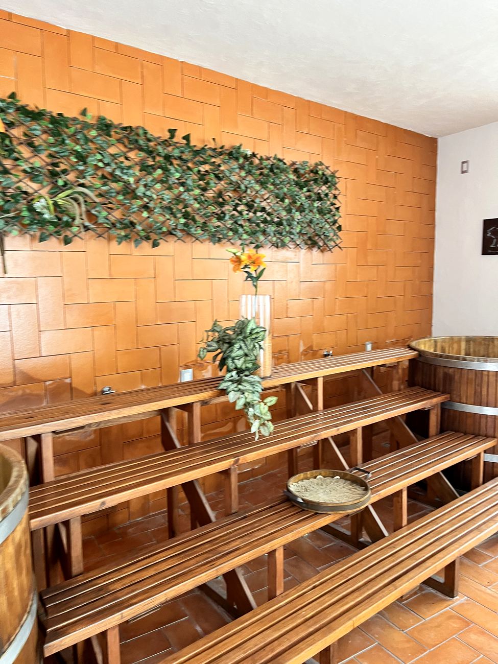 Bancos de madera y piedra